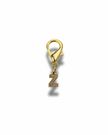 Golden Initial Charm