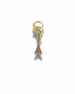 Golden Initial Charm
