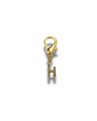 Golden Initial Charm