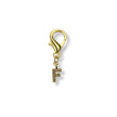 Golden Initial Charm