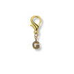 Golden Initial Charm