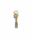 Golden Initial Charm