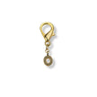 Golden Initial Charm