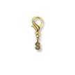 Golden Initial Charm