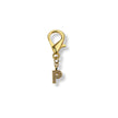 Golden Initial Charm