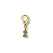 Golden Initial Charm